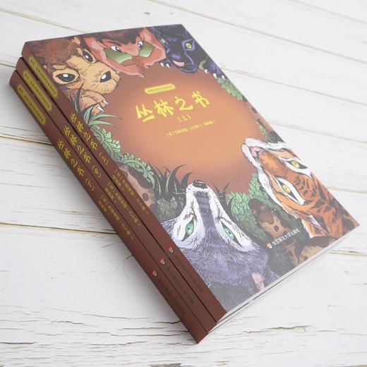 丛林之书 世界儿童文学名家名作 全三册 英国首位诺贝尔文学奖得主 鲁德亚德·吉卜林著 商品图3