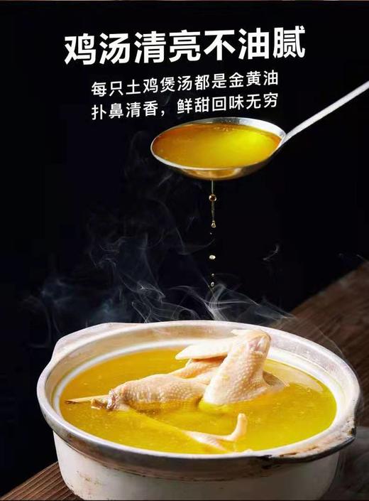 丘北有机高原土鸡 商品图1