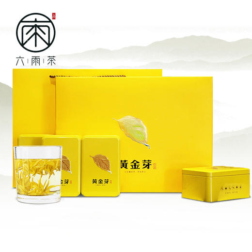 新茶2024黄金芽礼盒茶叶明前特级溧阳天目湖黄金白茶200g 商品图0