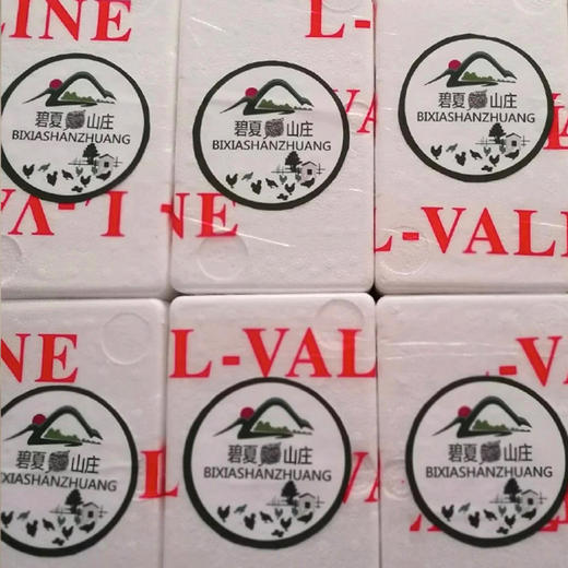 碧夏山庄老母鸡 商品图6