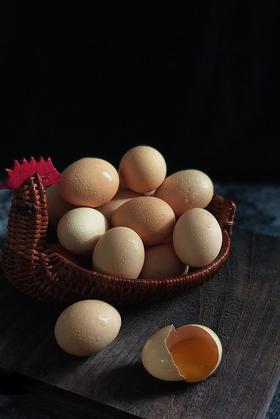 丘北高原有机土鸡蛋
