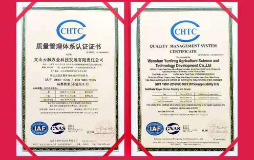 丘北有机高原土鸡 商品图5