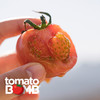碱地番茄酸甜浓郁口感脆弹 建议生吃收到即食 绿色食品认证 圆通快递 商品缩略图10