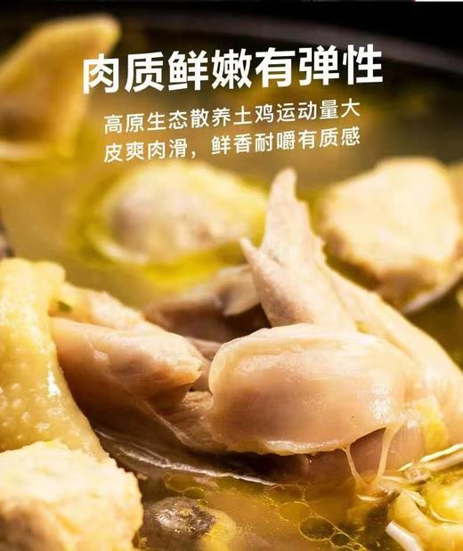 丘北有机高原土鸡 商品图0