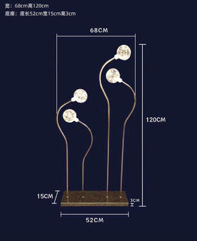 莱斯路引【运费自理】
