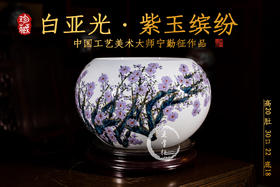 宁勤征：白亚光紫玉缤纷