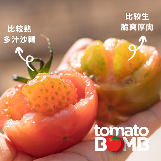 碱地番茄酸甜浓郁口感脆弹 建议生吃收到即食 绿色食品认证 圆通快递 商品图1