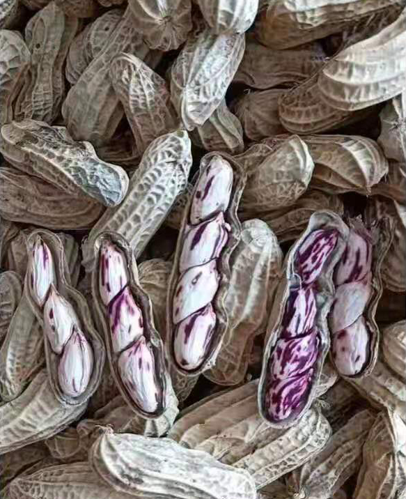 广东连南七彩花生400g