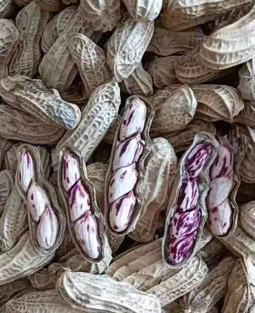 广东连南七彩花生400g 商品图0