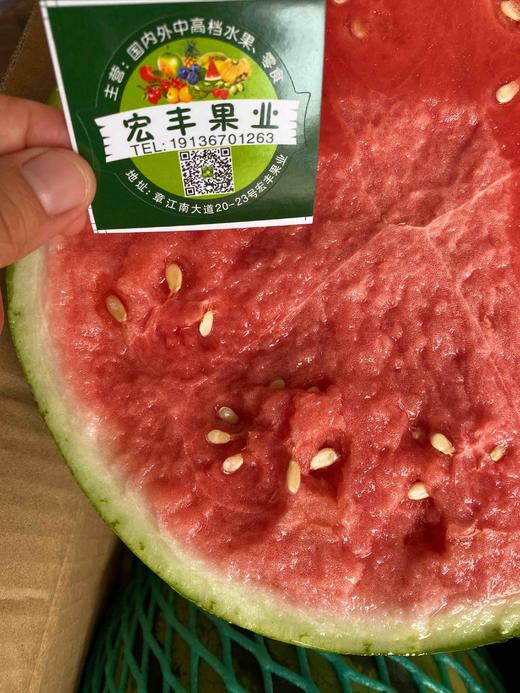 宏丰精选 美都西瓜  口感甜 西瓜味浓郁  活动价4.98元一斤 商品图3