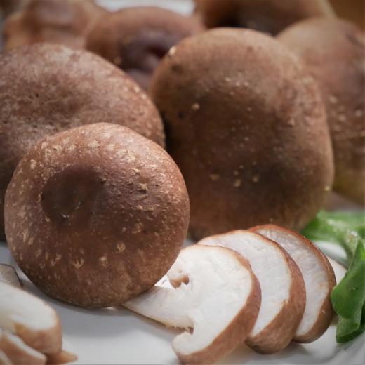 鲜松香菇鲜嫩滑脆合作生产xianggumushroomcoproducted