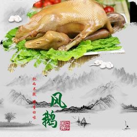 1000g 天目湖风鹅  常州特产