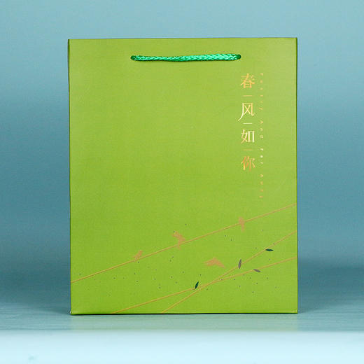 春风如你【通版 • 一斤装】1元一个/300个一箱 商品图1
