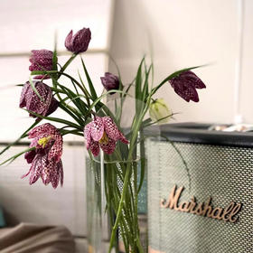 配花-贝母-花边