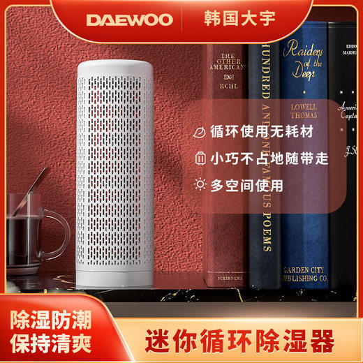 【大宇】韩国大宇家用除湿器衣柜干燥器可循环抽湿防潮防霉干燥剂吸湿G01（标配一根棒子）） 商品图0