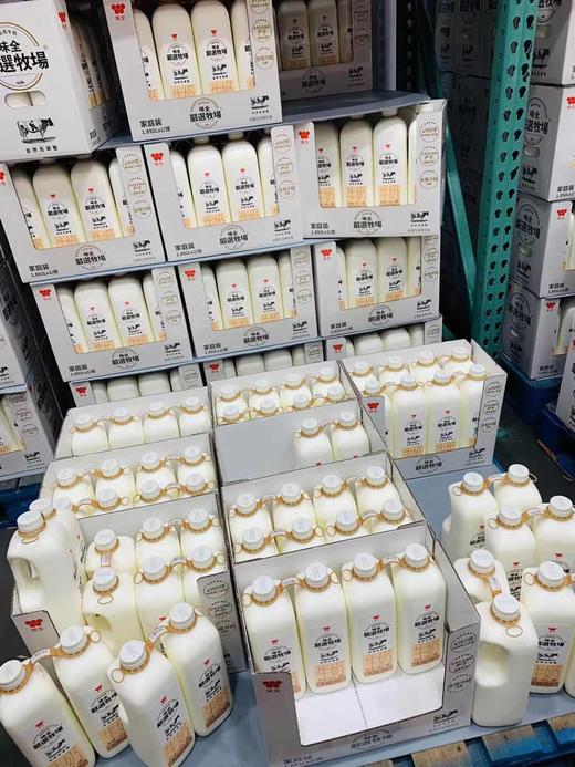 上海costco开市客超市专场 【味全严选牧场】纯牛奶 一瓶1.