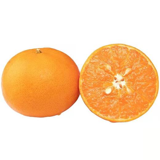 台湾茂谷柑 商品图4