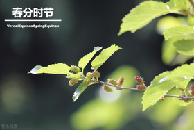 春分至，健康养生早知道，这些养生秘诀适合全家