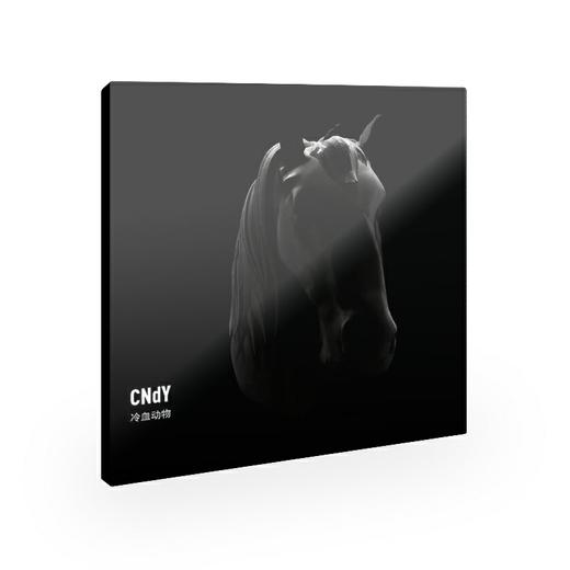 CNdY - 《冷血动物》CD 商品图0