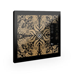 废墟乐队 - 《正大光明》CD