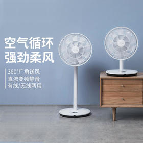 【法格】法格电风扇