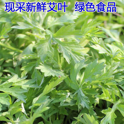 临安农家自制清明果20只装  现做现发清明团子 商品图3