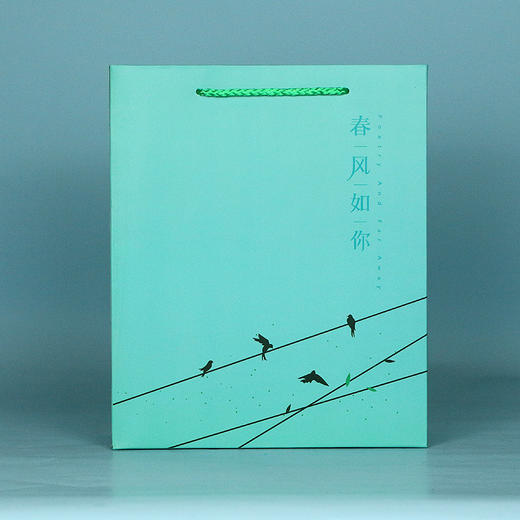 春风如你【通版 • 一斤装】1元一个/300个一箱 商品图1