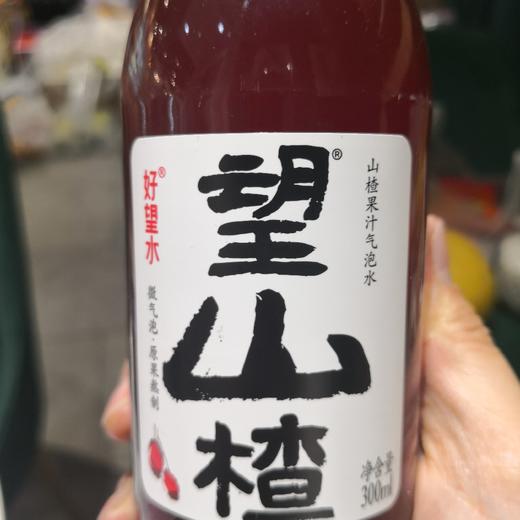 望山楂山楂水 商品图0