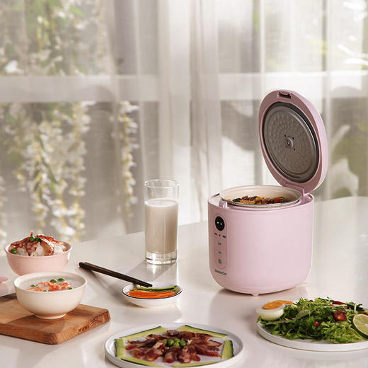 【大宇】韩国大宇0.8升迷你电饭煲小型家用单人母婴便携宿舍1人宝宝粥锅FB08 商品图1