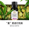 姜精油10ml 商品缩略图4