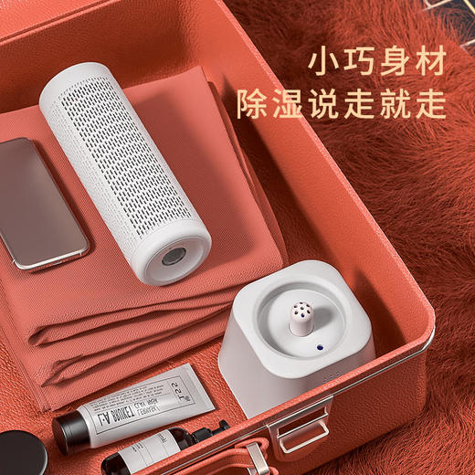 【大宇】韩国大宇家用除湿器衣柜干燥器可循环抽湿防潮防霉干燥剂吸湿G01（标配一根棒子）） 商品图4