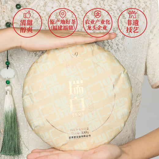 武夷星瑞白3181白牡丹白茶福建福鼎白茶老白茶茶叶茶饼300g 商品图3