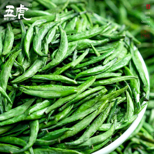 【送礼】茶叶 雀舌 绿茶 明前雀舌 早春嫩芽 茶饮 五虎 250g 商品图1