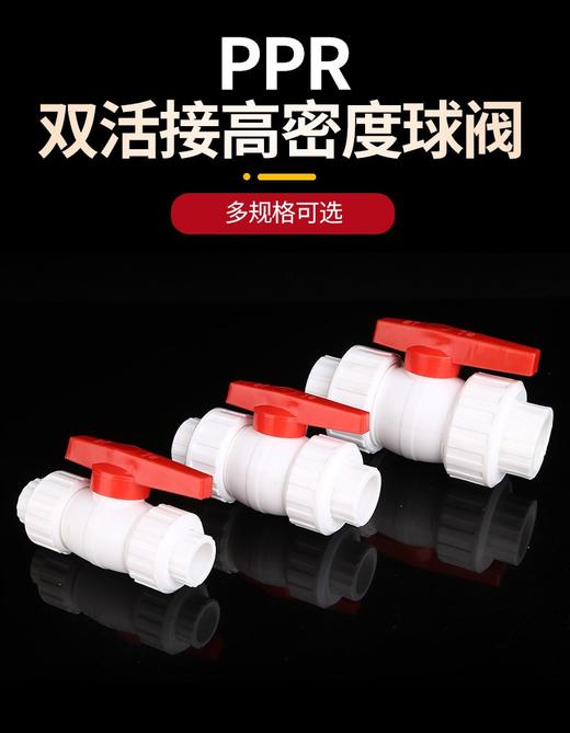 开禾 塑料PPR活接球阀 25 商品图0