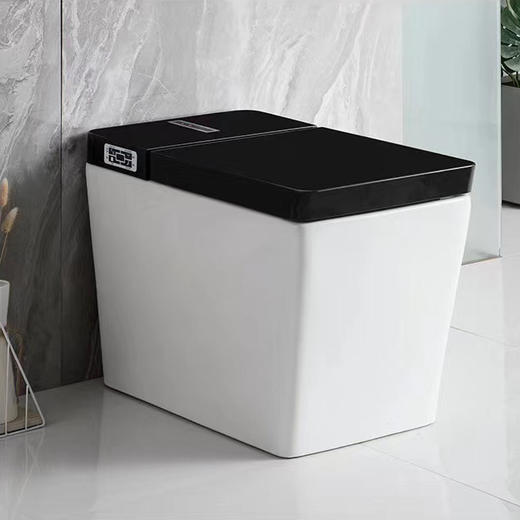 2062A智能坐便器-半黑 商品图0