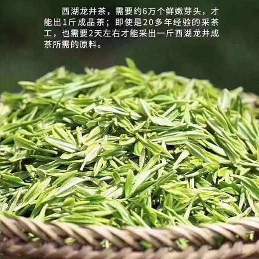 西湖龙井手工炒制茶（西湖产区）  2026新茶 商品图4