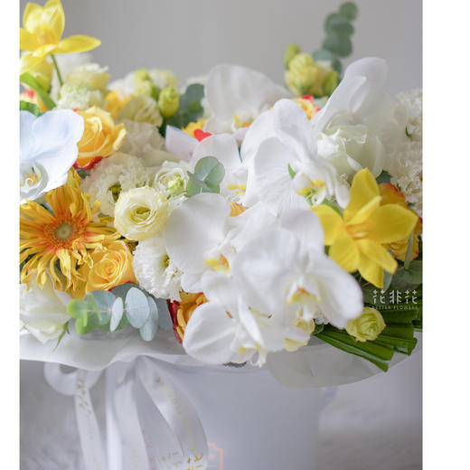 《甜蜜心事》-蝴蝶兰抱抱桶 商品图1