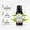 香茅精油10ml 商品缩略图3