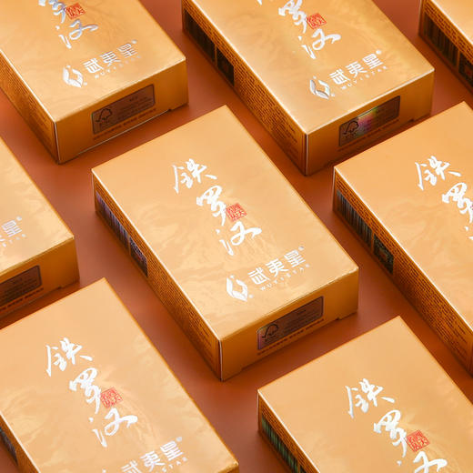 武夷星竖条装铁罗汉108g武夷名枞武夷岩茶特级乌龙茶武夷山茶叶 商品图3