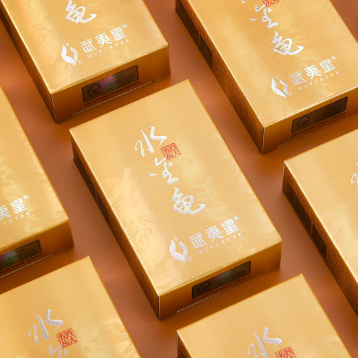 武夷星水金龟竖条装108g武夷岩茶武夷名枞特级乌龙茶茶叶浓香型 商品图3