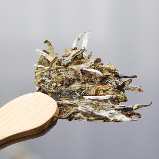 武夷星瑞白3181白牡丹白茶福建福鼎白茶老白茶茶叶茶饼300g 商品图4