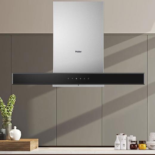 海尔（Haier）烟机CXW-219-T2903UD 商品图0