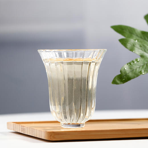 武夷星瑞白3190白牡丹白茶福建福鼎特级白茶茶叶茶饼300g 商品图3