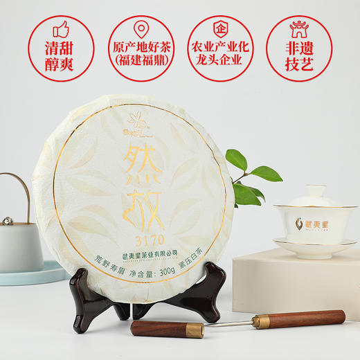 武夷星然放3170荒野寿眉饼装福建福鼎白茶茶叶老白茶300g 商品图4