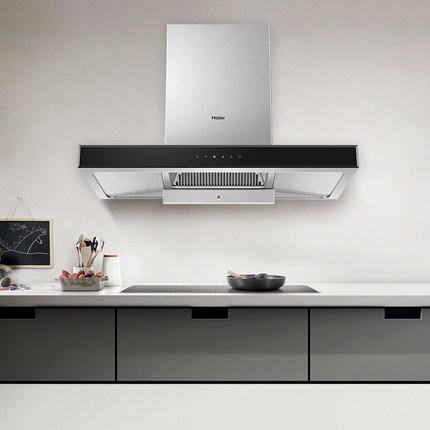 海尔（Haier）烟机CXW-219-T2903UD 商品图2