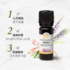 马鞭草精油10ml 商品缩略图4