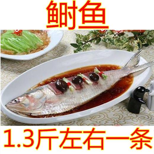 洒酿蒸缅甸鲥鱼带料包 商品图3