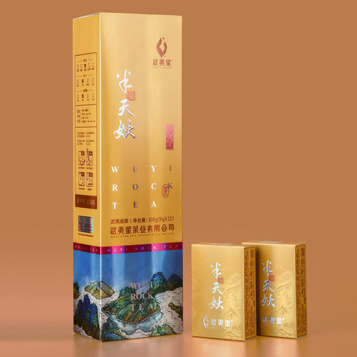 武夷星竖条装半天妖四大名枞武夷名枞乌龙茶武夷岩茶茶叶108g 商品图4