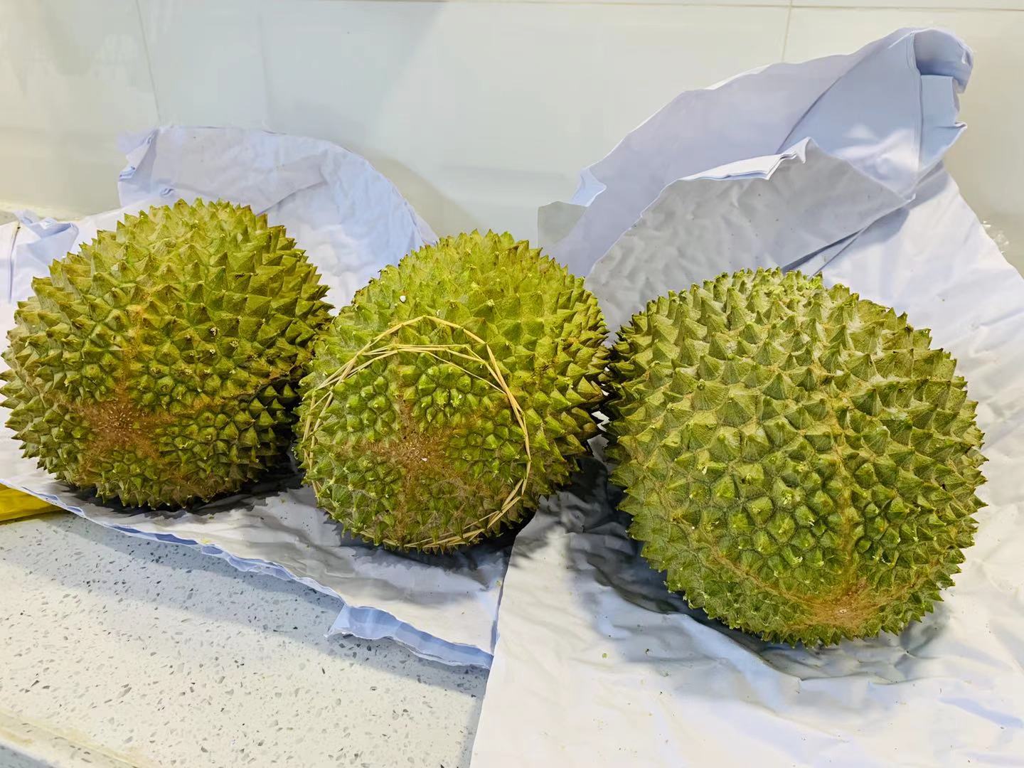 高山老树 猫山王榴莲肉 液氮冻整果 猫山王 d197 榴莲