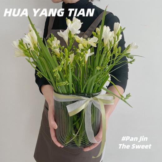 20枝小苍兰 · 瓶插花   含花瓶 商品图0